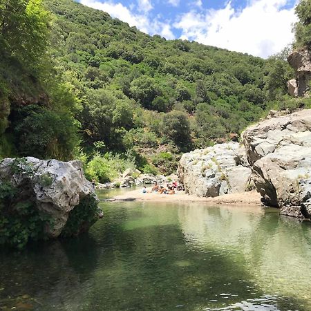 New! La Ginestra,Casa Vacanze Bifamiliare In Montagna-Seulo Sardegna Экстерьер фото