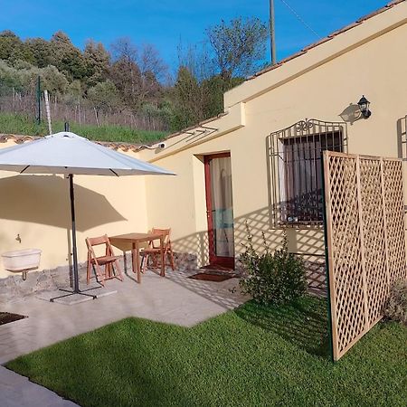 New! La Ginestra,Casa Vacanze Bifamiliare In Montagna-Seulo Sardegna Экстерьер фото