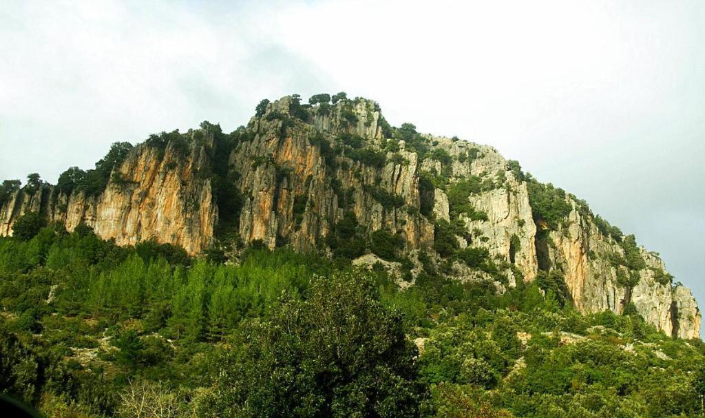 New! La Ginestra,Casa Vacanze Bifamiliare In Montagna-Seulo Sardegna Экстерьер фото