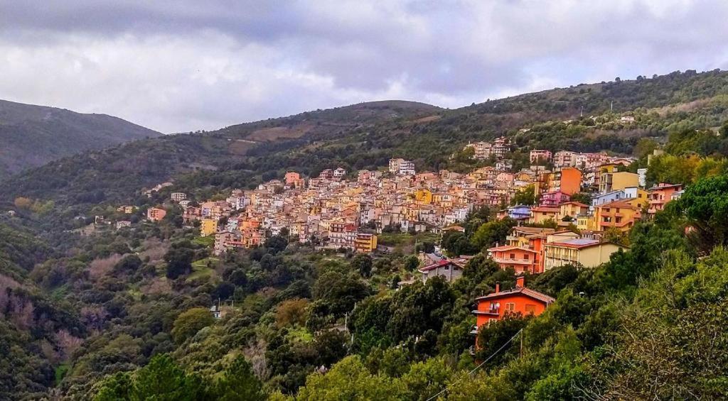 New! La Ginestra,Casa Vacanze Bifamiliare In Montagna-Seulo Sardegna Экстерьер фото