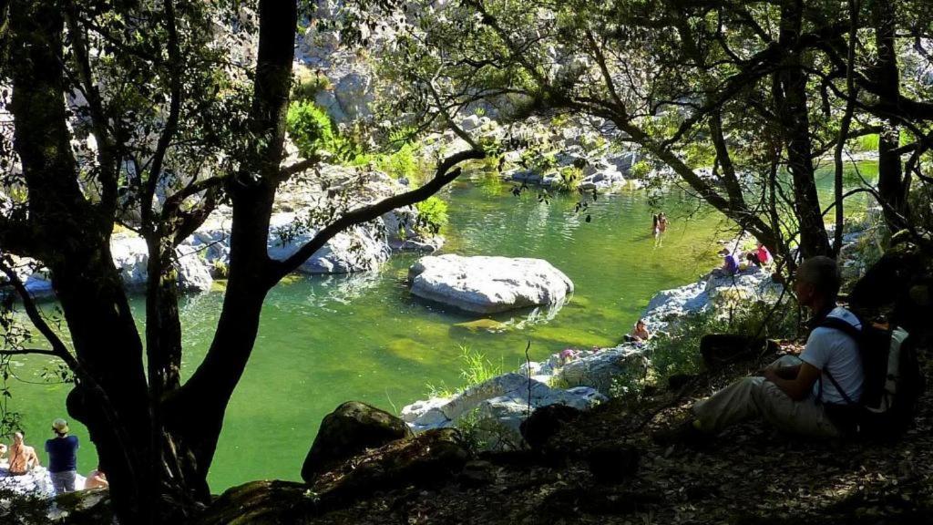 New! La Ginestra,Casa Vacanze Bifamiliare In Montagna-Seulo Sardegna Экстерьер фото